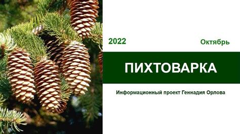 ПИХТОВАРКА-часть 1