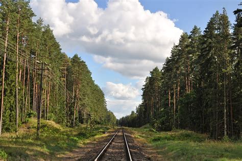 Spuren Schiene Wald Kostenloses Foto Auf Pixabay