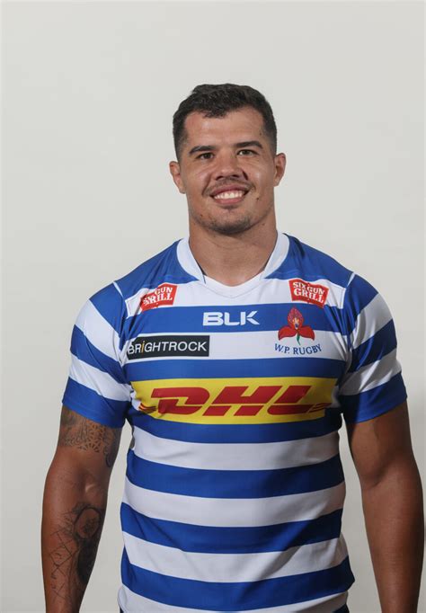 Wp Rugby Dhl Western Province Squad