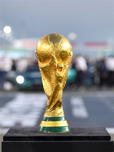 Mundial De Qatar 2022 Cuánto Salen Las Entradas Y Cómo Conseguirlas Infobae Stories