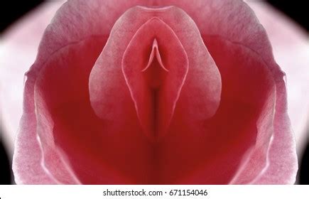 9 Thousand Sexy Sexy Sex Photo Royalty Free Images Stock Photos Pictures Shutterstock