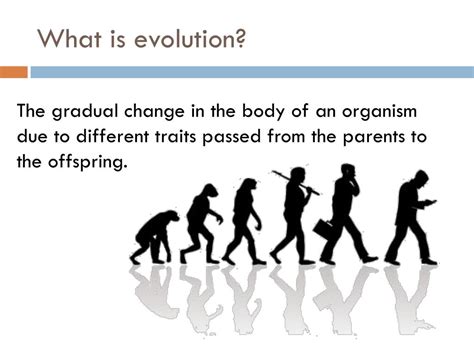 PPT - Evolution & Adaptation PowerPoint Presentation, free download ...