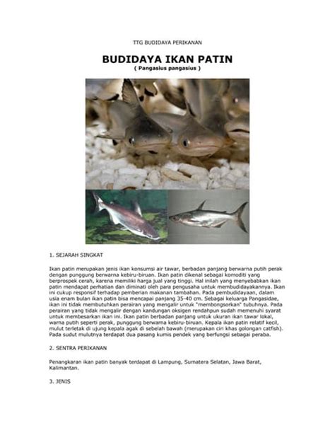 Ikan Patin Pdf