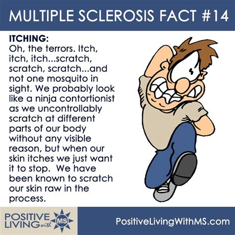 An Illustrated View Of Multiple Sclerosis Multiple Sclerosis