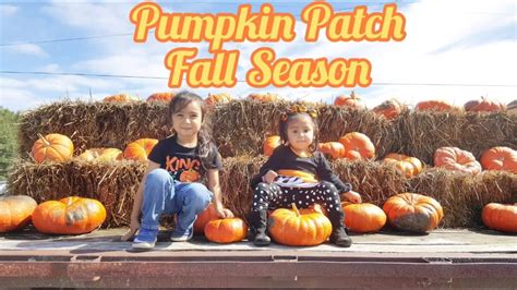 Field Trip At The Pumpkin Patch Pumpkin Patch Fall Season Autumn Youtube