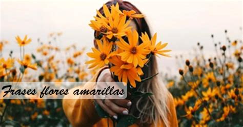 Frases De Flores Amarillas 150 Mensajes Bonitos Y Amorosos Para