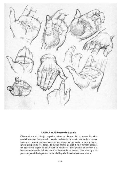 Andrew Loomis Dibujo De Cabeza Y Manos Espa Ol Drawing Heads Book