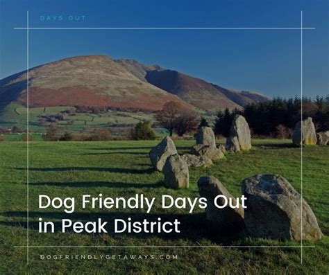 7 of the Best Dog Friendly Days Out in Peak District | DFG