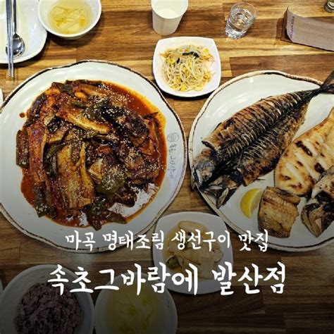 발산역맛집 속초그바람에발산본점 생선구이가 맛있는 마곡밥집으로 추천 네이버 블로그