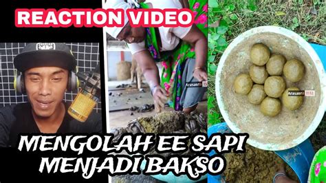 Mengolah Kotoran Sapi Menjadi Bakso Viral YouTube