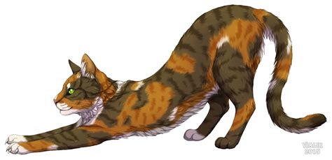 Tawnypelt by Vialir Warrior Cats Series, Warrior Cats Books, Warrior 3 ...