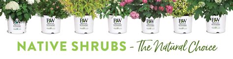 Native Shrubs - The Natural Choice Branded Container Poster - 48x12 ...