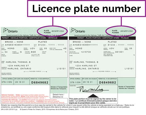Licence plate expiry checker