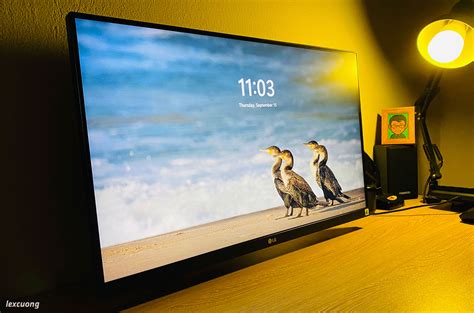 Review màn hình LG 24QP550-B: Độ phân giải 2K, kích thước 23.8 inch ...