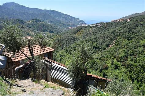 Vignana Fotografie Immagini Del Borgo Di Vignana Levanto Sp