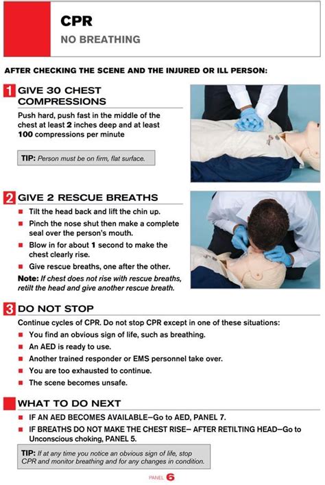 A Printable Guide To Performing Cpr Infographic Redcrossemergencykit