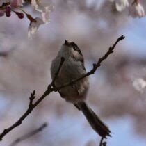 The Ultimate Guide to Scoring Cheap Land Deals Near Me | The Lot Store