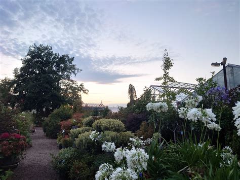 Discover the World-Famous Garden in Littlebourne, Canterbury 28
