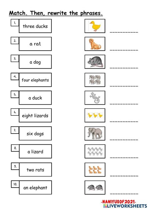 Singular And Plural Nouns Animals Worksheet In 2023 Singular And