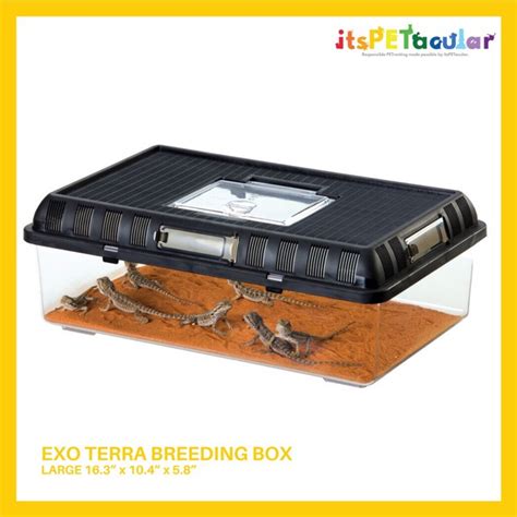 Exo Terra Breeding Box Large Shopee Philippines