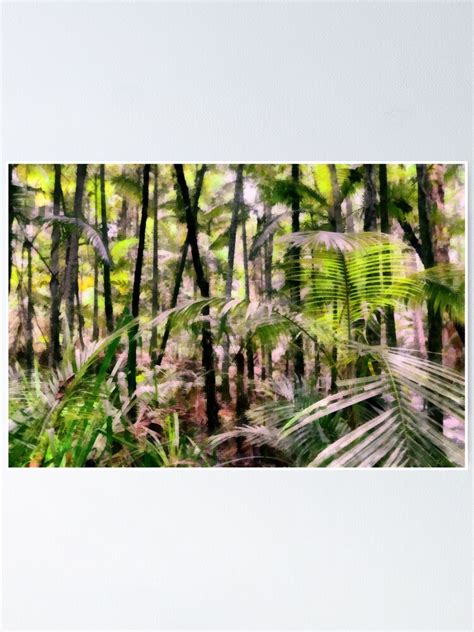 Tropical Rainforest Poster By Ozcamera Redbubble