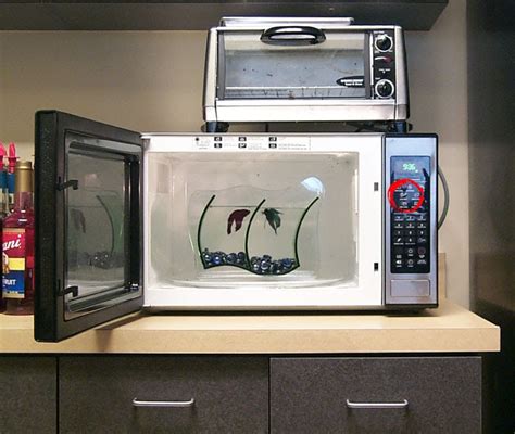 Office Crap: Fish in microwave*