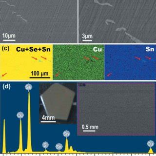 Sem Images And Eds Results For The Polished Surface Of The Cu Snse