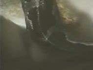 Naked Dominique Saint Claire In Emmanuelle Iv