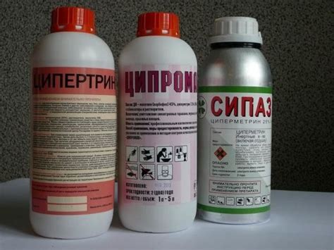 Спрей от блох для помещений: рейтинг лучших аэрозолей (отзывы)