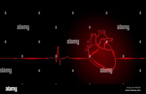 Single Continuous Line Art Anatomical Human Heart Silhouette Healthy