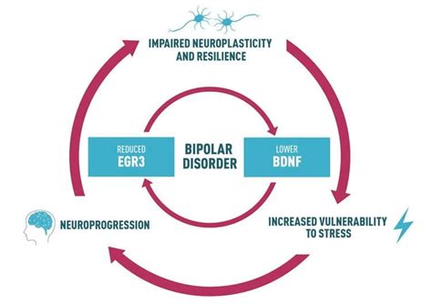 New Path For Bipolar Disorder Comes To Light Neuroscience News