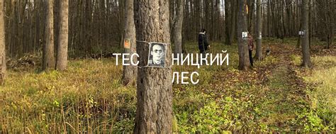 Тесницкий лес — место памяти 2024 | ВКонтакте
