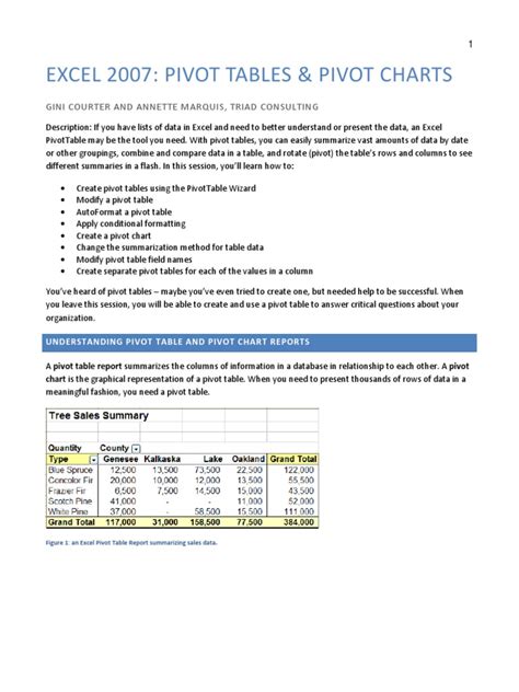 Excel 2007 Pivot Tables and Charts | Download Free PDF | Microsoft ...