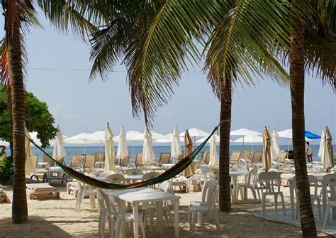 Best Playa Del Carmen Beach Clubs