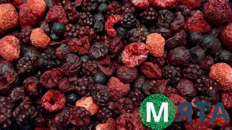 Сублимированные ягоды Микс - купить Кондитерские ингредиенты Пищевые ...