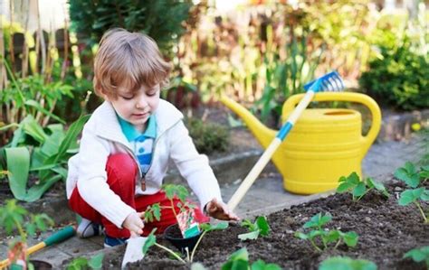 Benefits of Gardening for Children [Jan 2025] Review