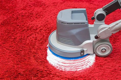 Guide To Carpet Cleaning Keep Your Carpets In Top Shape