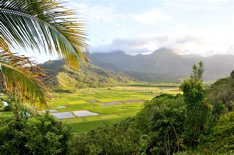 Hanalei Valley Lookout | Kauai.com