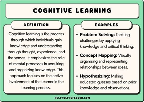 29 Cognitive Learning Examples 2025