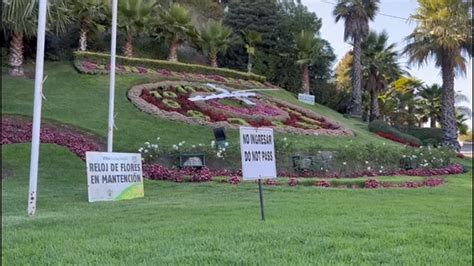 Detienen A Sujeto Que Movi Las Manecillas Del Reloj De Flores En Vi A