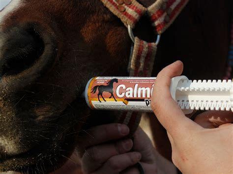 Farmann Horse Calmix Paste