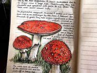 Ideas De Diario De La Naturaleza En Libros De Hechizos