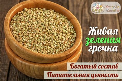 Зеленая гречка: польза и рецепты приготовления