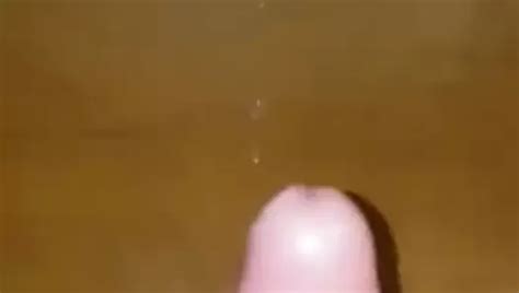 Paola I Miei Omaggi Free Solo Man Porn Video B XHamster