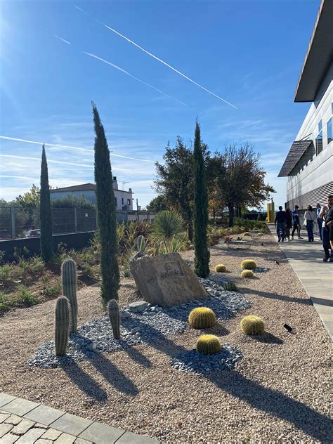 ORDENACIÓ PAISATGÍSTICA DELS EXTERIORS DE L EMPRESA ROBERLO Aspecte