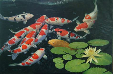 Japanese Koi Fish Wallpapers Top Free Japanese Koi Fish Backgrounds