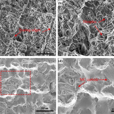 Tensile Fracture Surfaces Morphologies Of Joints With Different