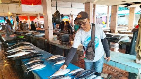 Harga BBM Naik Pasokan Ikan Dari Nelayan Di Manokwari Papua Barat