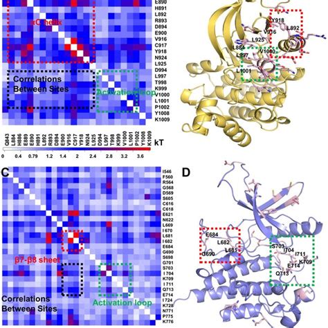 domain organization  full length jak  scientific diagram