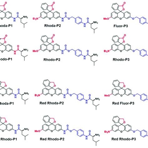 Chemical Structure Of Lap Responsive Fluorescent Probes Reproduced